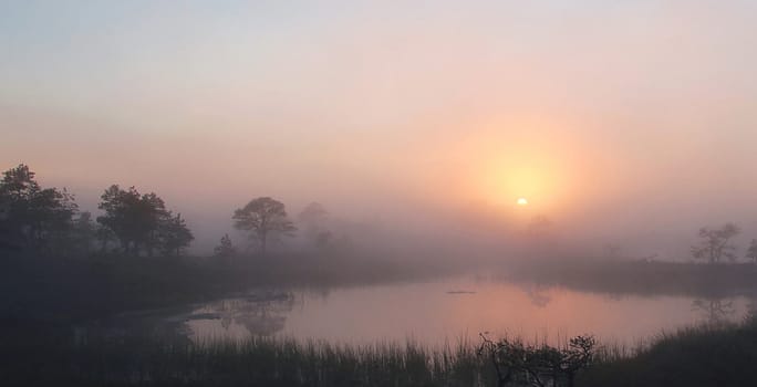 Beautiful pictures of Estonia