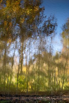 Beautiful golden hour sunlight shines on the Autumn foliage reflected in the flowing water.