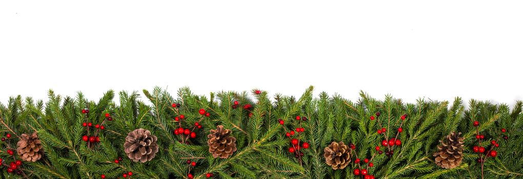 Christmas white blank card with copy space and frame decor of fir tree branch cones red holly berry isolated on white background