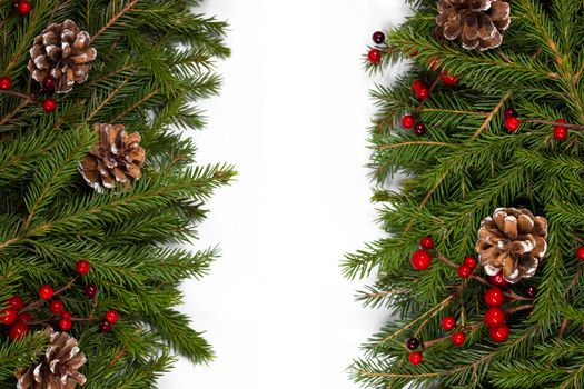 Christmas white blank card with copy space and frame decor of fir tree branch cones red holly berry isolated on white background