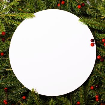 Natural fir Christmas tree and red berries round border frame isolated on white , copy space for text