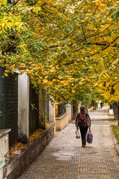 Woman is walking alone in Prague 7 district carrying her shopping bags during quarantine period due to outbreak of COVID-19 as winter is starting, Czech Republic