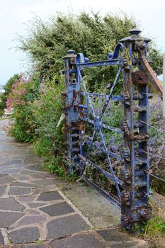Weathered, locked blue gate covered with peeling blue paint bars entrance to an overgrown path surrounded by plants