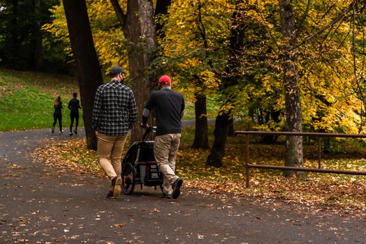 Two man are walking and talking while carrying the baby strolls on Stromovka Park in Autumn 2020 on Prague 6, during quarantine period due to outbreak of COVID-19 as winter is starting, Czech Republic