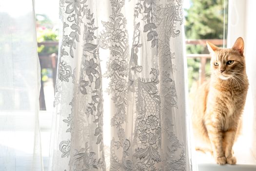 wedding dress hanging on window cornices.