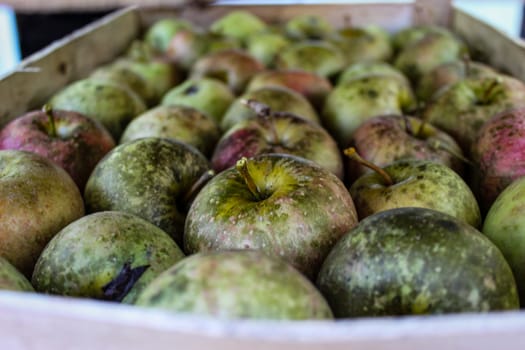 Homemade apples of different sizes perfectly stacked in a crate. Apples have various stains and markings on them. Zavidovici, Bosnia and Herzegovina.