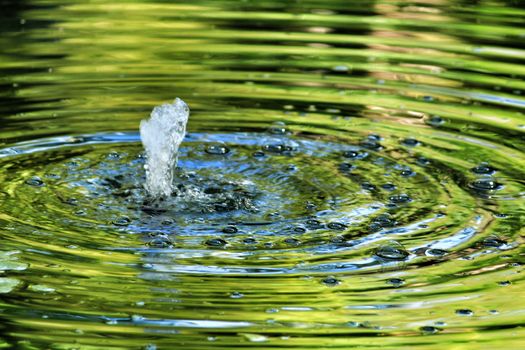 Jet of water in a pond forming waves in a garden