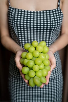 Woman hand holding yellow green bunch of grape.