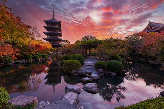 Sunset over ancient pagoda Toji temple in autumn garden, Kyoto, Japan. Tallest wooden pagoda in Japan and Unesco world heritage site.