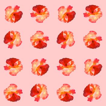 Seamless pattern with roses on a pink background. Flat lay, top view. Pop art creative design for textile, fashion, wallpaper, fabric, wrapping paper.