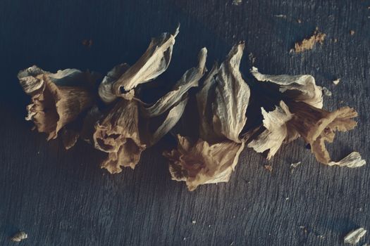 Dry flowers and plants, herbal tea, dried flowers