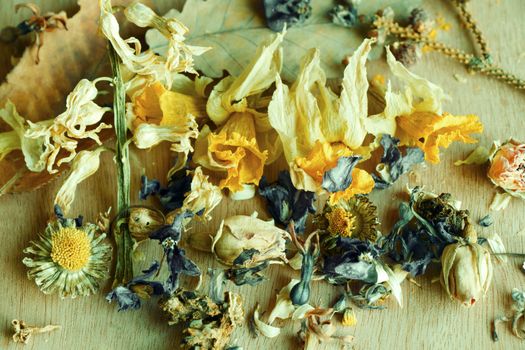 Dry flowers and plants, herbal tea, dried flowers