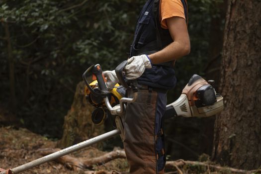 Moncayo, Spain - October 14, 2020: Workers of the forest fire prevention service, Dept. of Rural Development and Sustainability of the government of Aragon and SARGA, in clearing work