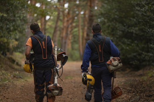 Moncayo, Spain - October 14, 2020: Workers of the forest fire prevention service, Dept. of Rural Development and Sustainability of the government of Aragon and SARGA, in clearing work