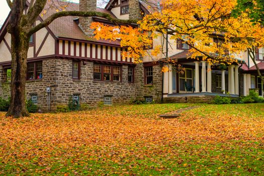 A Large Cobble and Wood Home With a Front Lawn Covered in Bright Yellow Autumn Leaves