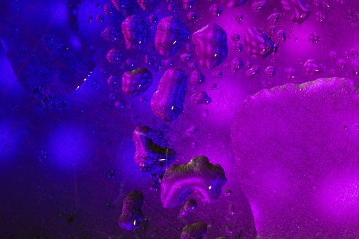 Abstract colorful backdrop or background with water drops on colorful surface. Abstract background concept