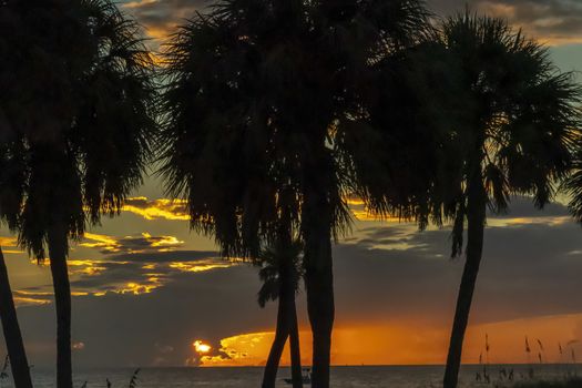 Scenic views of the Florida coast at sunset