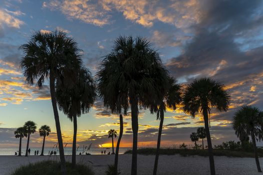 Scenic views of the Florida coast at sunset