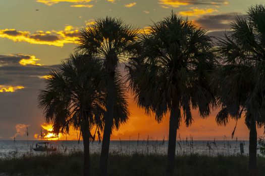 Scenic views of the Florida coast at sunset