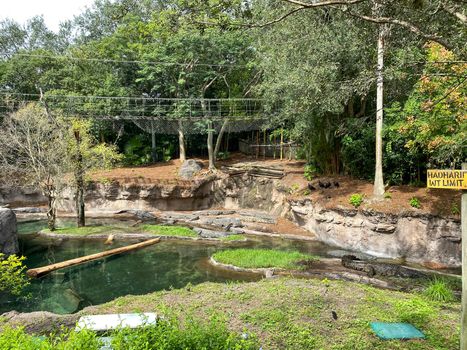 Nile crocodiles at a zoo laying near a pond on a bright sunny day.