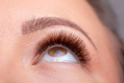Open Woman Eyes with Long Eyelashes Extension after beauty treatment stock photo