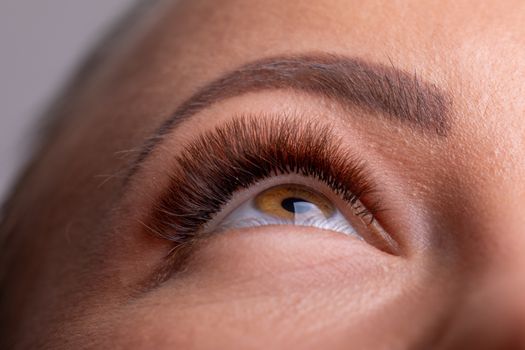 Open Woman Eyes with Long Eyelashes Extension after beauty treatment stock photo