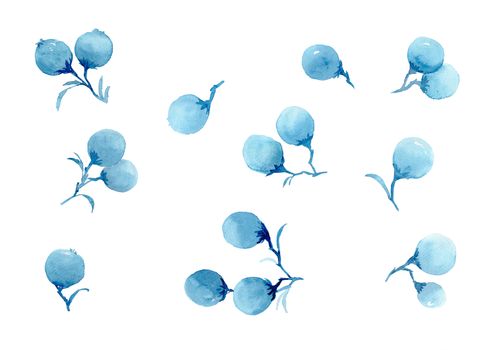 botanical set of blue berries. watercolor hand painting illustration.