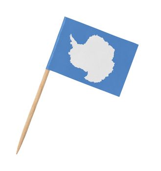 Small paper flag of Antarctica on wooden stick, isolated on white