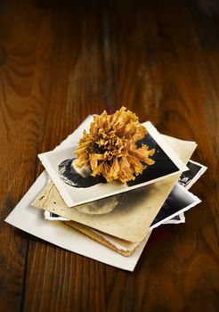 Pile of black and white old photos on wooden table , a dried orange flower on top of the photo pile 