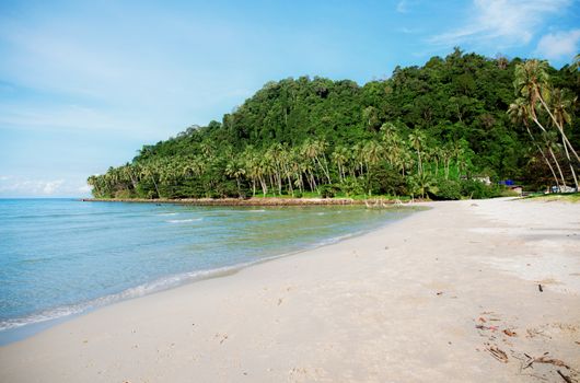 Sand beach at sea with the natural in summer.