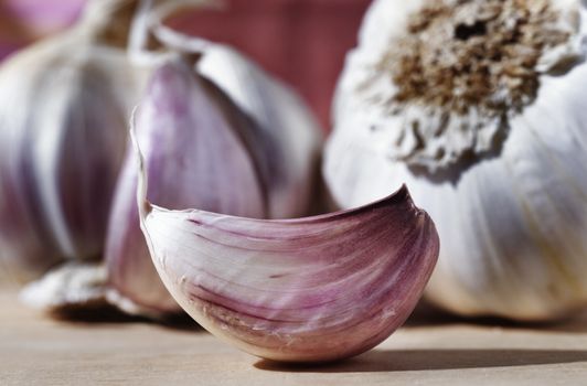 Beautiful  white -purple garlic clove on wooden table  in the background garlic bulbs