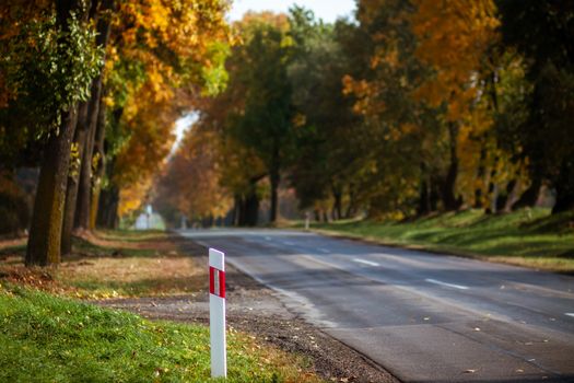 Paved asphalt road goes through forest with autumn trees in rural locality with concrete bollards. Sunny clear cloudless day without people and cars