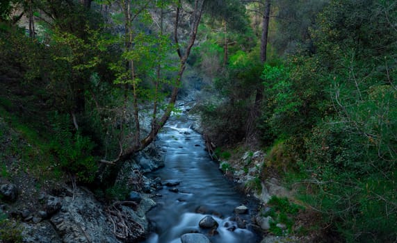 Rapid flow of the river in the mountains of the island of Cyprus at dusk.