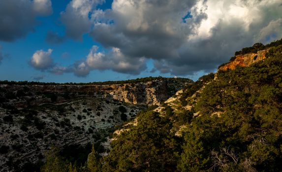 Cedar-covered hills on the Mediterranean coast on the island of Cyprus.