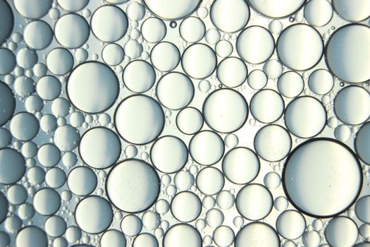 abstract macro background of oil circles floating over water surface . Macro closeup view of bubbles on water . oil bubbles in the water macro photographic background