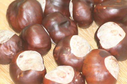 Chestnut and chestnut pod with spines on a wooden floor. Close-Up of dried Chestnut fruits over wooden background.