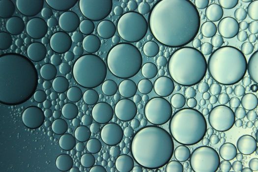 abstract macro background of oil circles floating over water surface . Macro closeup view of bubbles on water . oil bubbles in the water macro photographic background