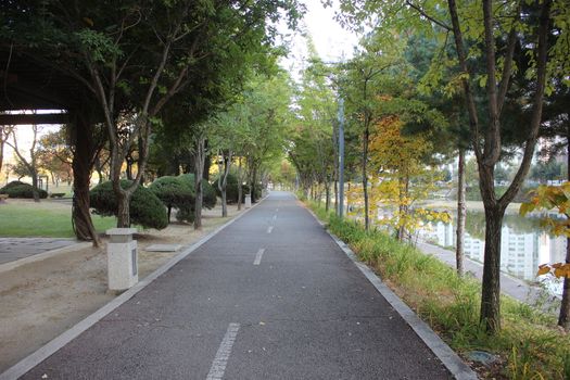 Paved pedestrian way or walk way with trees on sides for public walk. Suburban park with sidewalk along with trees on sideways