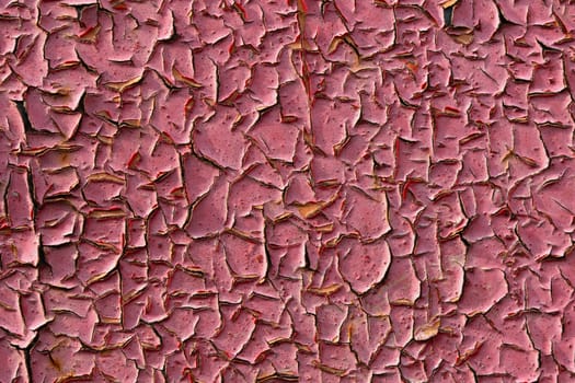 old pink peeling paint closeup flat background under direct sunlight