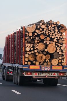 Back view of loaded European truck with sawed cutted woods in motion on asphalt road, transportation and delivery concept. Detail on delivery truck. Bucharest, Romania, 2020