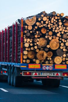 Back view of loaded European truck with sawed cutted woods in motion on asphalt road, transportation and delivery concept. Detail on delivery truck. Bucharest, Romania, 2020