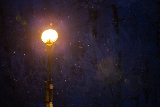 natural lens flare from winter night street light with selective focus.