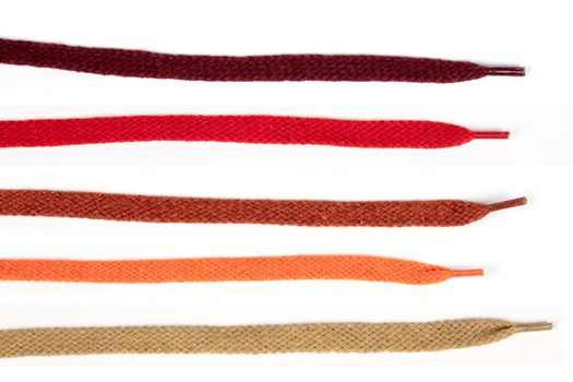 Collection of colored cotton laces for shoes with tip on white background