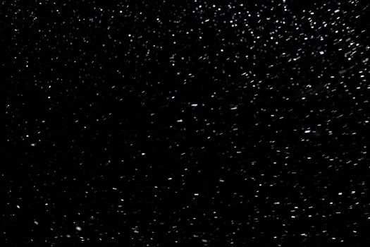 natural snow on black night background with selective focus.