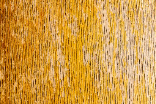 old peeling flat overdryed lacquered plywood texture with vertical structure of peels
