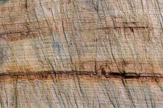 old nature wooden texture closeup background with horisontal structural lines