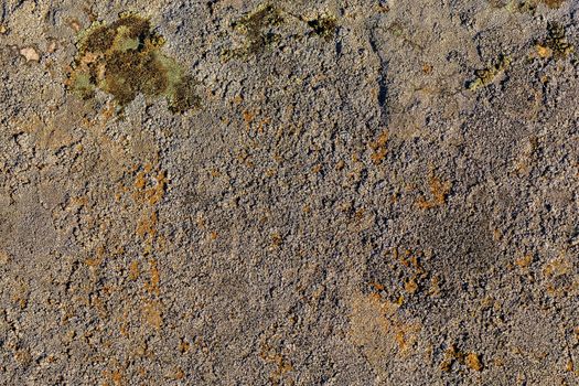 gray molded flat closeup stone background under direct sunlight