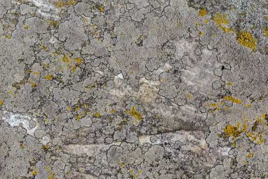 gray molded flat closeup stone background under direct sunlight