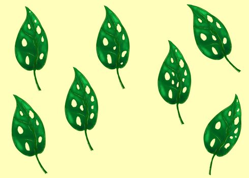 Monstera Adansoni leaves background, urban and house plants illustration and paint