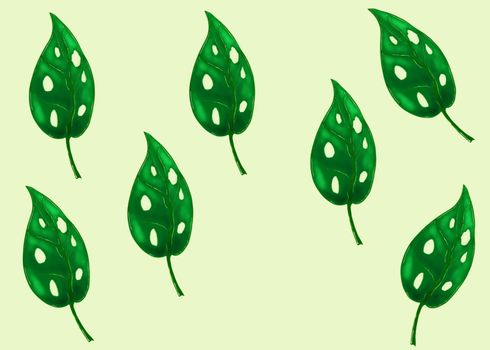 Monstera Adansoni leaves background, urban and house plants illustration and paint